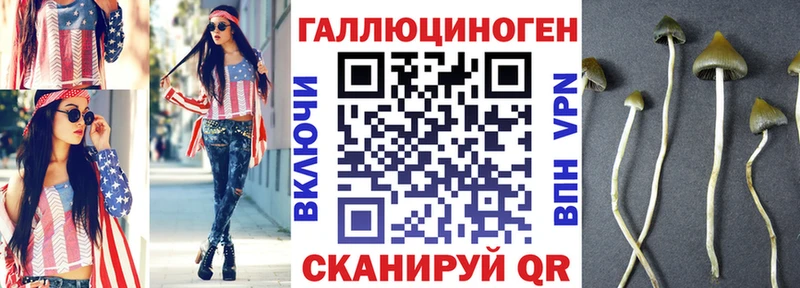 Галлюциногенные грибы Magic Shrooms  Купить  Маркс 